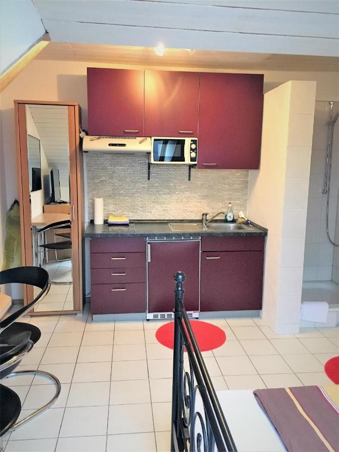 Studentenwohnung Allensbach Buitenkant foto